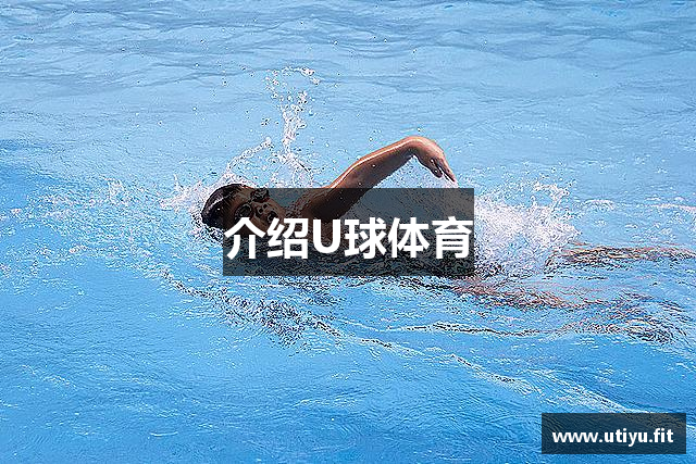 介绍U球体育